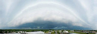 The Armadillo Over Welland